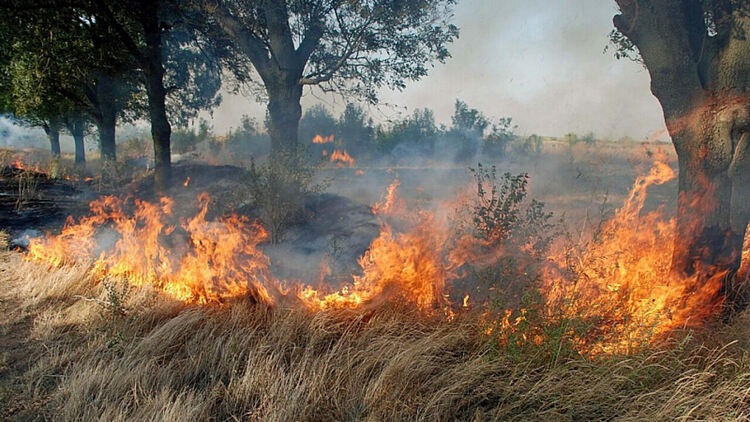 България - в капан на горските пожари