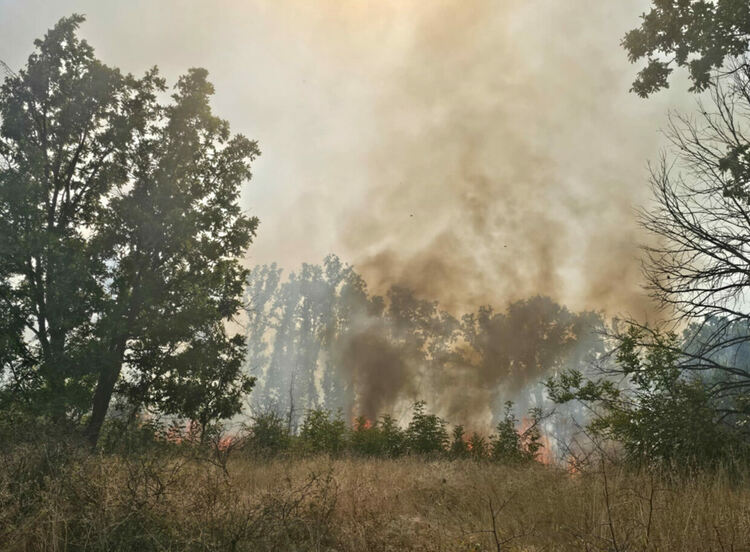 4 хеликоптера в битка със стихията, пожарът в Сакар не е овладян напълно