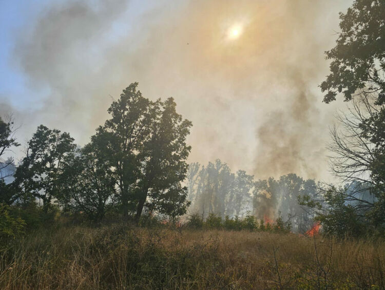 4 хеликоптера в битка със стихията, пожарът в Сакар не е овладян напълно