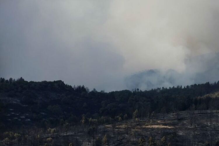 Продължава гасенето на пожарите в страната