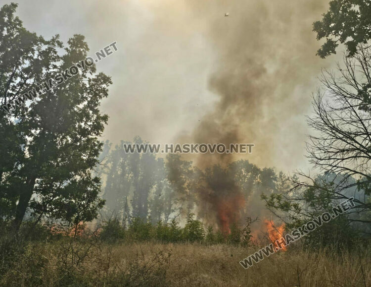 Огненият ад в Сакар вече погълна 60 000 декара