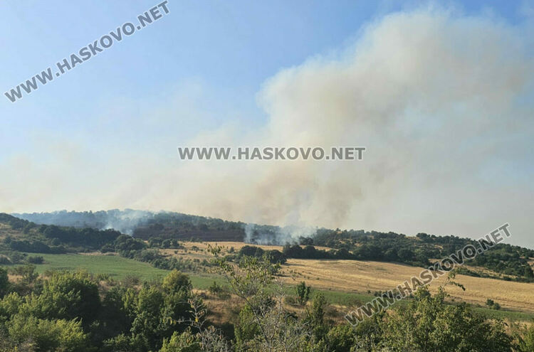 Огненият ад в Сакар вече погълна 60 000 декара