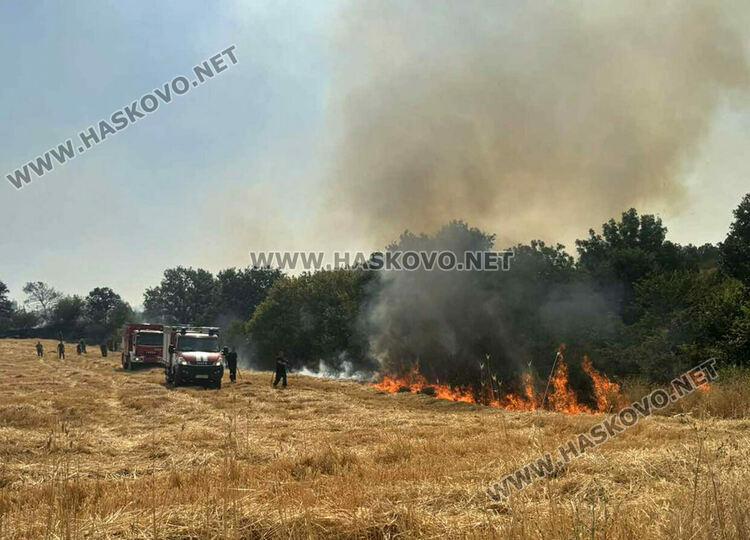Огненият ад в Сакар вече погълна 60 000 декара