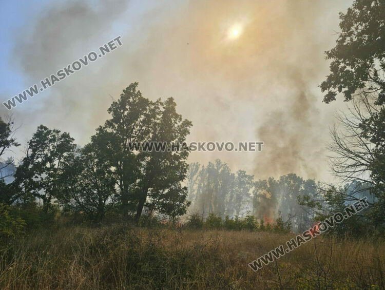 Огненият ад в Сакар вече погълна 60 000 декара