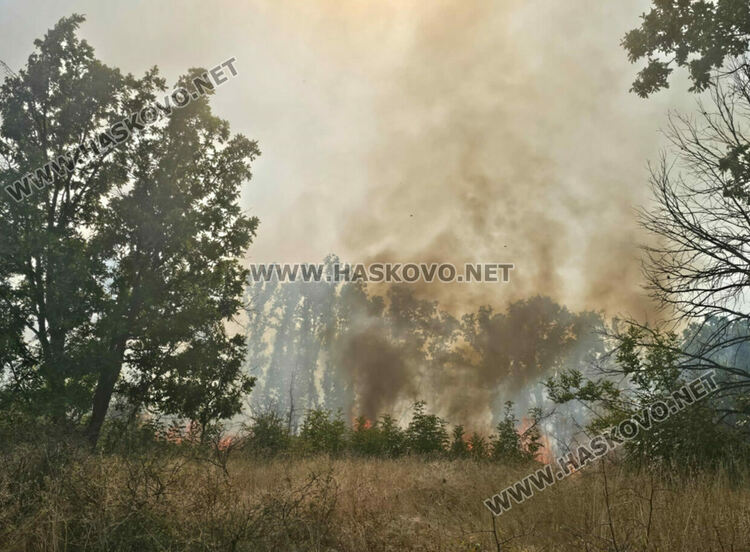 Огненият ад в Сакар вече погълна 60 000 декара
