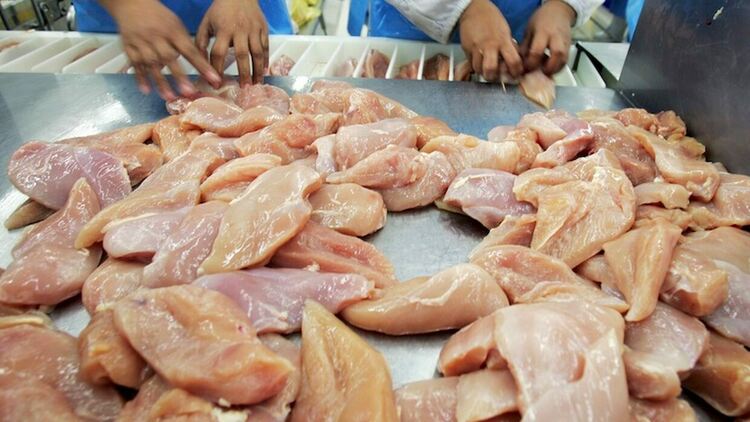 Конфискуваха над 1 тон пилешко месо без документи от товарен автомобил