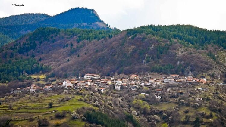 Полицията в Девин залови куче, нападало стадо – стопанинът благодари с писмо