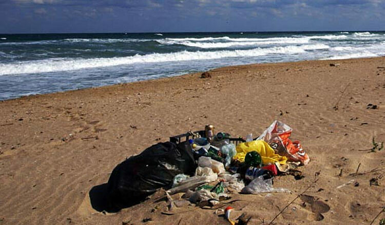 Малка част от мазнотиите