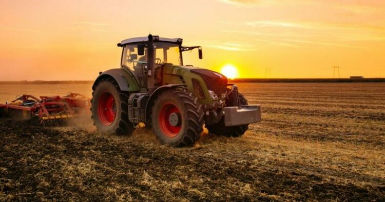 Тежка година за земеделците: Студът унищожи пролетните култури, сушата - царевицата и слънчогледа