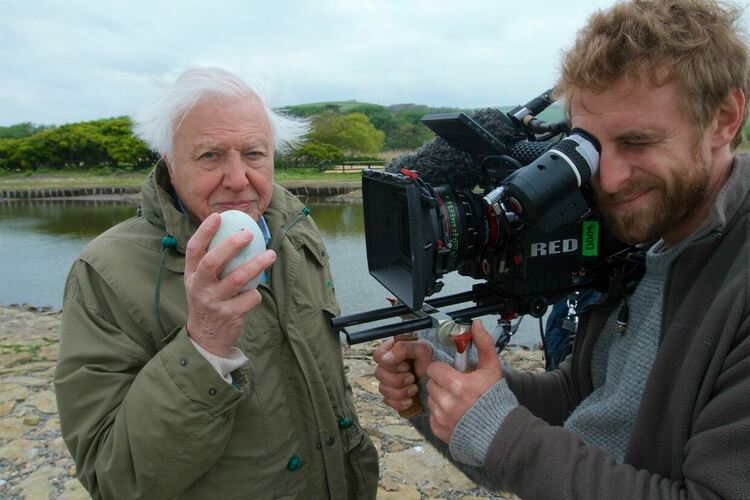 Viasat Nature: Шедьоврите на Атънбъро -Динозаври и яйца, преосмислени