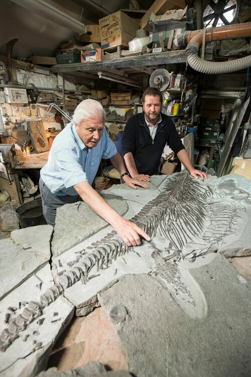 Viasat Nature: Шедьоврите на Атънбъро -Динозаври и яйца, преосмислени