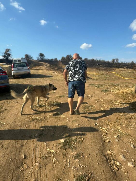 Областният управител се срещна с фермер, чиито животни изгоряха при пожара в Сакар планина