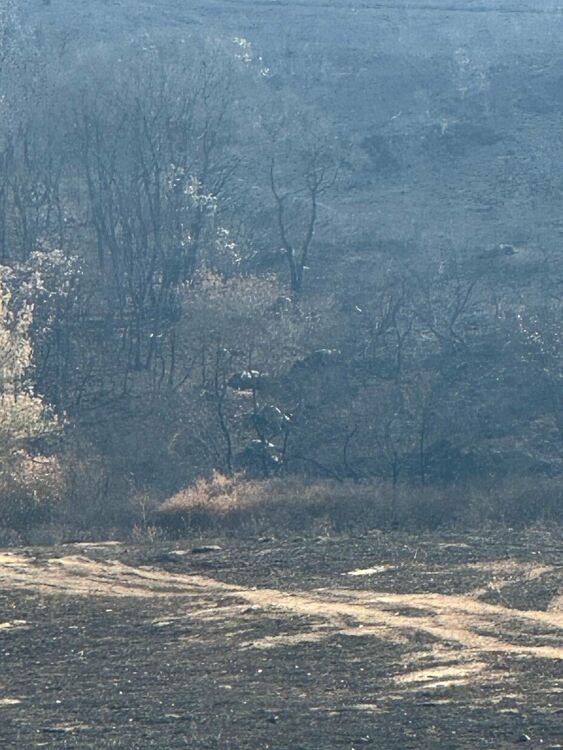 Областният управител се срещна с фермер, чиито животни изгоряха при пожара в Сакар планина