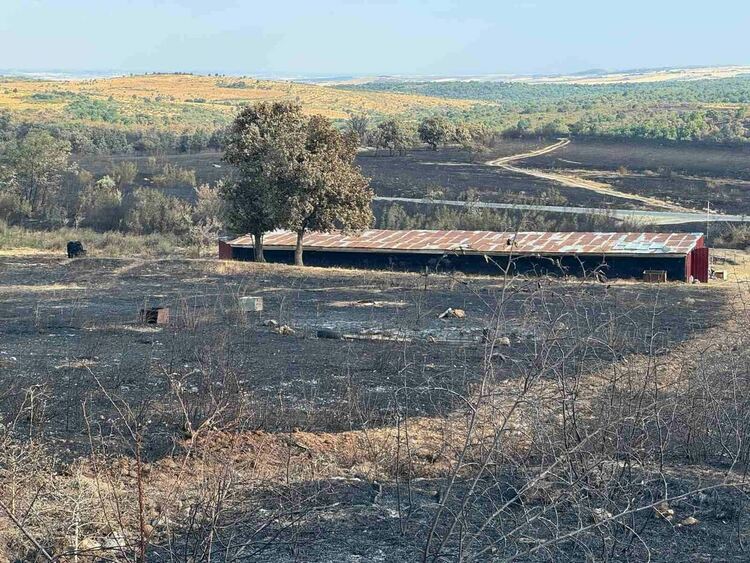 Областният управител се срещна с фермер, чиито животни изгоряха при пожара в Сакар планина