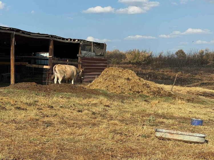 Областният управител се срещна с фермер, чиито животни изгоряха при пожара в Сакар планина