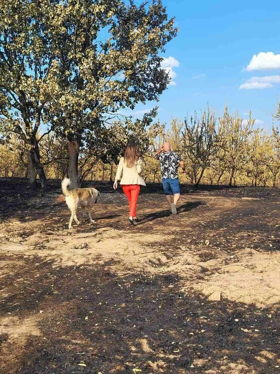 Областният управител се срещна с фермер, чиито животни изгоряха при пожара в Сакар планина