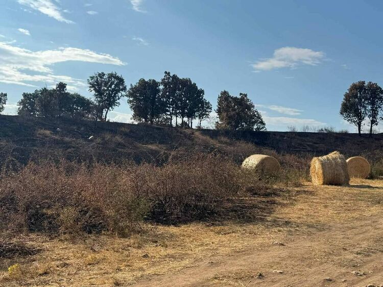 Областният управител се срещна с фермер, чиито животни изгоряха при пожара в Сакар планина