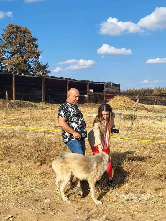 Областният управител се срещна с фермер, чиито животни изгоряха при пожара в Сакар планина