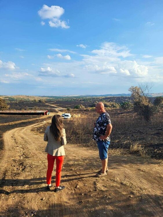 Областният управител се срещна с фермер, чиито животни изгоряха при пожара в Сакар планина