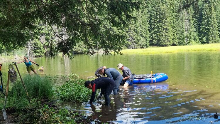 Водолази почистиха Тревистото езеро край Смолян в подкрепа на научна инициатива