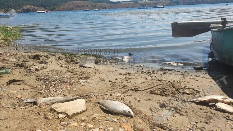 Предупреждение за екологична катастрофа,рибата в язовир”Студен кладенец”продължава да измира