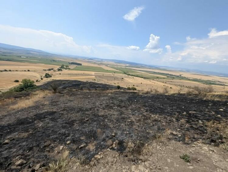 Пожарът, възникнал в района на село Расник, е напълно потушен