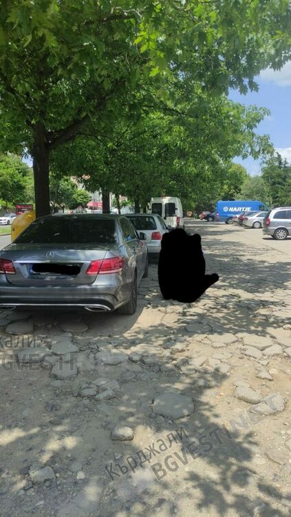 Майки от „Възрожденци”с апел към Община Кърджали:Оправете тротоарите по бул.”Христо Ботев”!/снимки/