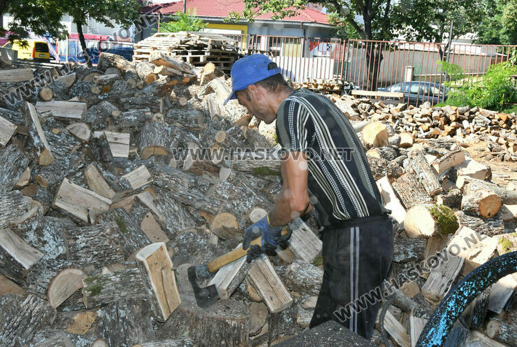 Без промяна в цената на дървата за огрев в Хасково – 260 лева за тон 