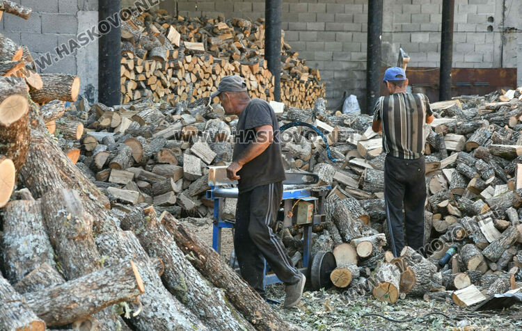 Без промяна в цената на дървата за огрев в Хасково – 260 лева за тон 