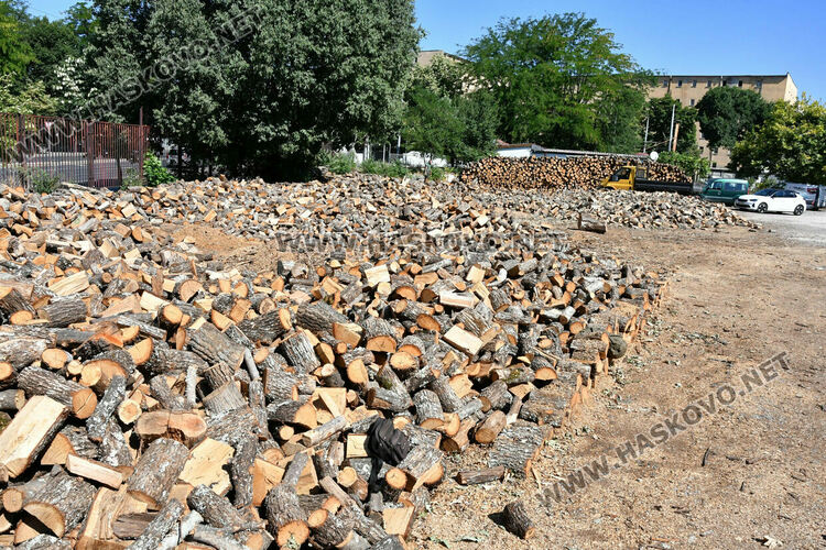 Без промяна в цената на дървата за огрев в Хасково – 260 лева за тон 