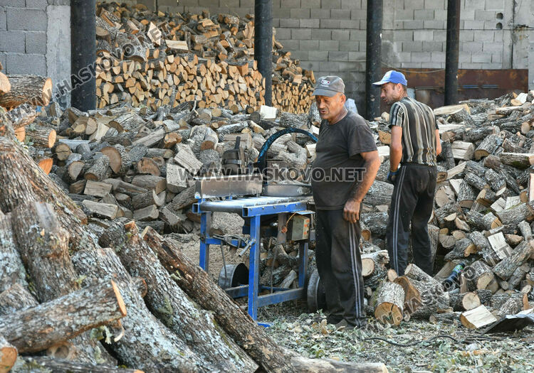 Без промяна в цената на дървата за огрев в Хасково – 260 лева за тон 
