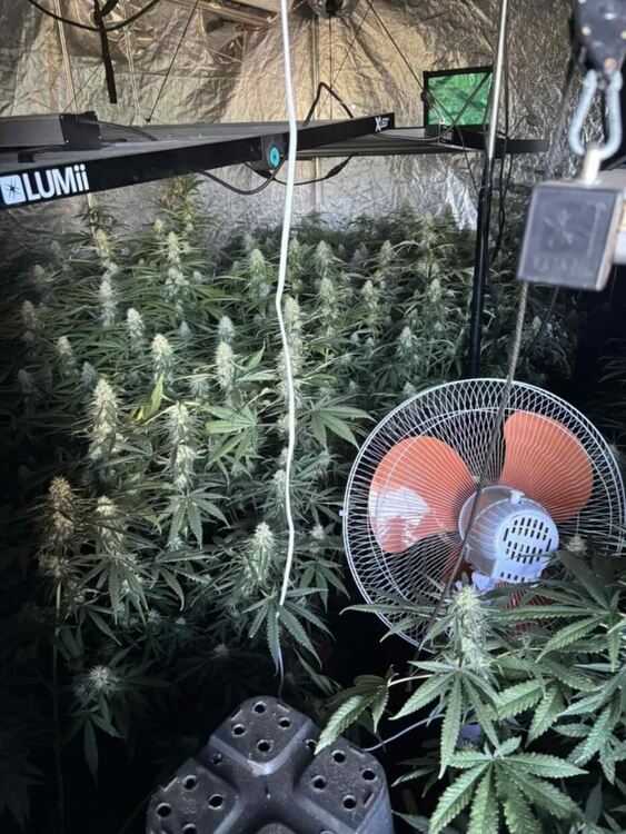 Снимки: МВР-Хасково