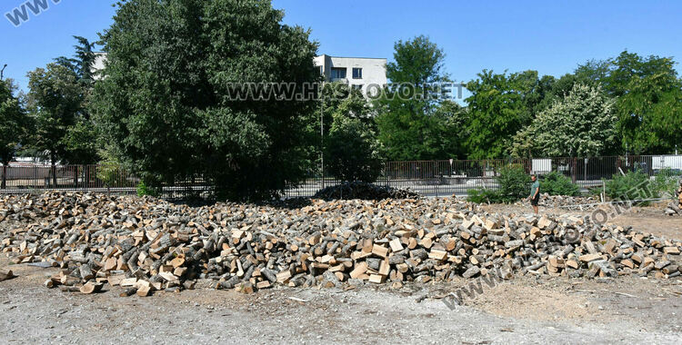Без промяна в цената на дървата за огрев в Хасково – 260 лева за тон 
