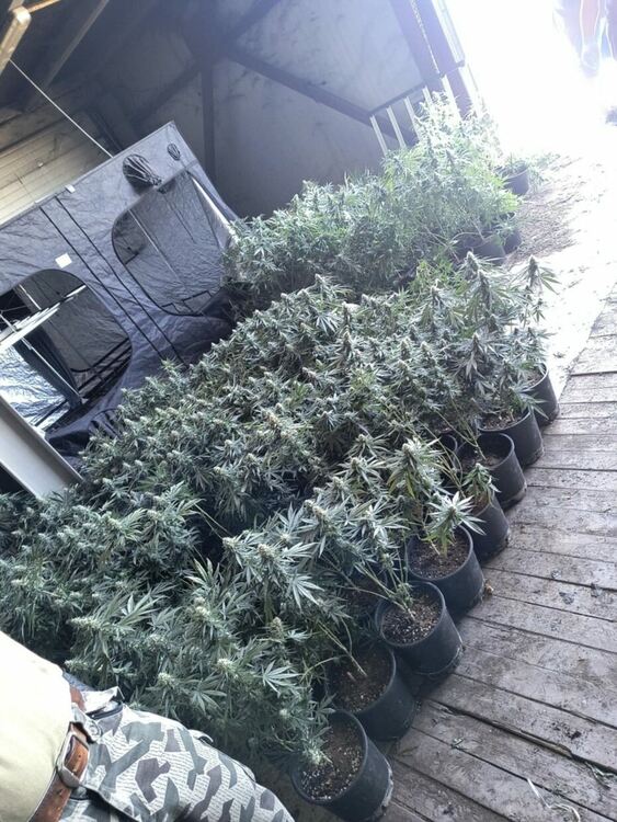 Повдигнаха обвинение на Илко Тигъра, хванат да гаси горящия автосервиз с марихуана