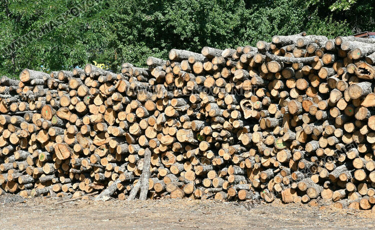 Без промяна в цената на дървата за огрев в Хасково – 260 лева за тон 