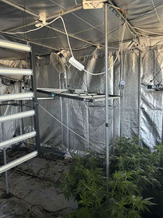 Повдигнаха обвинение на Илко Тигъра, хванат да гаси горящия автосервиз с марихуана