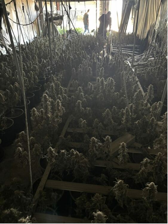 Повдигнаха обвинение на Илко Тигъра, хванат да гаси горящия автосервиз с марихуана