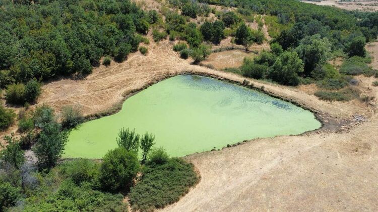 Препращат сигнала за замърсения язовир в Сърница до Басейнова дирекция