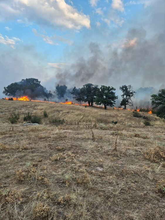 Снимки Община Хасково