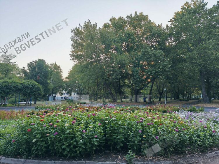 Променлива облачност днес в Кърджали, шанс за слаб дъжд