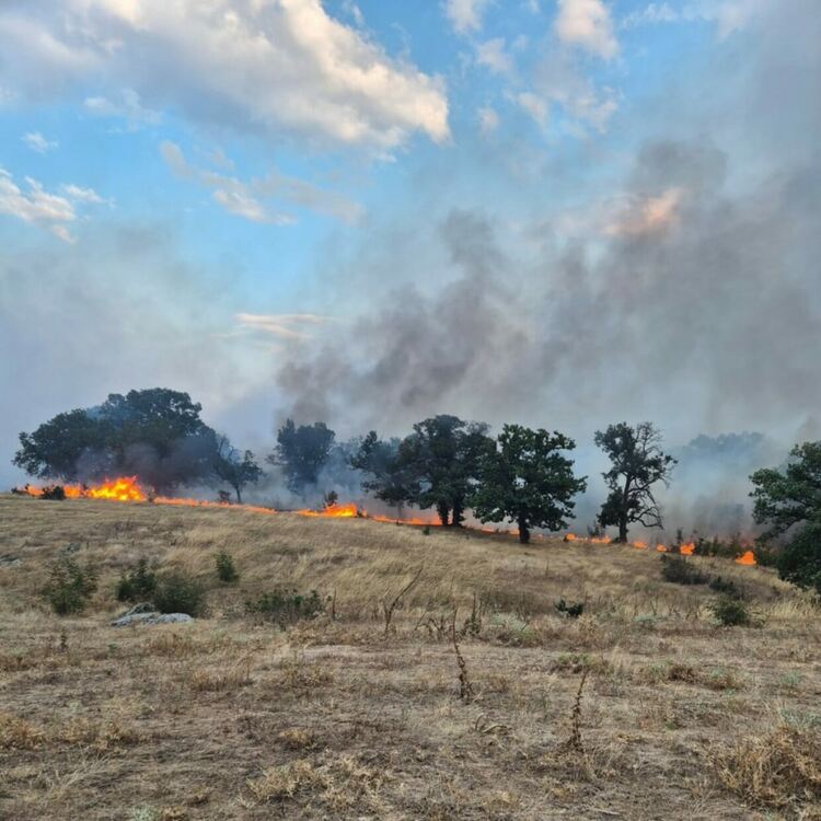 Следят с дронове пожара край селата Елена и Момино