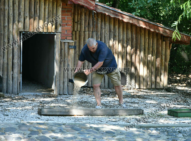 „Бейби бум“ на патагонски мари в зоопарка в „Кенана“