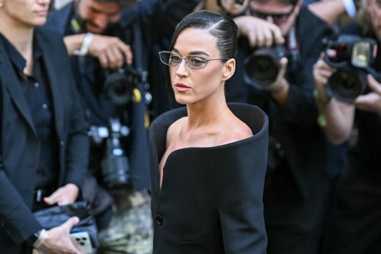 Глобиха Кейти Пери заради снимки на клип в защитена зона