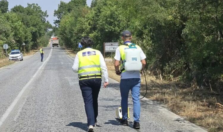 Наистина ли АПИ обезопасява т. нар. „черни точки“ или всичко е „прах в очите“?