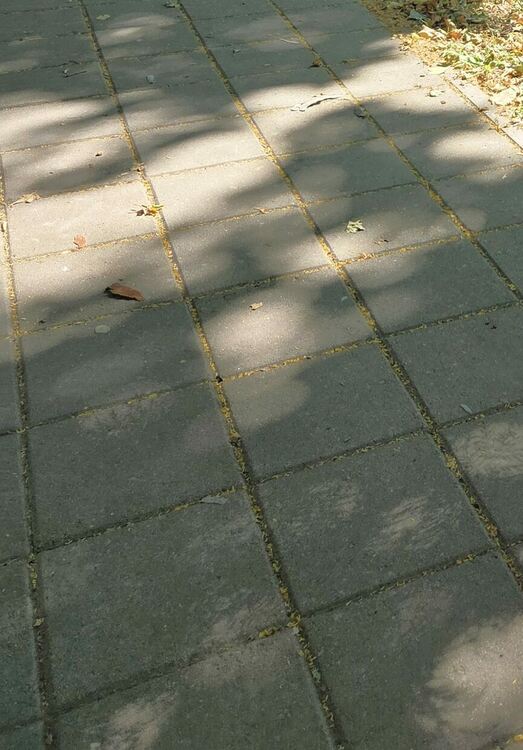 снимката е илюстративна 