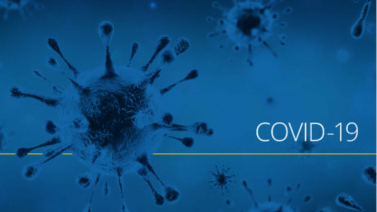 Лек ръст на случаите от Covid-19. Има ли опасност у нас от вируса чикунгуня?