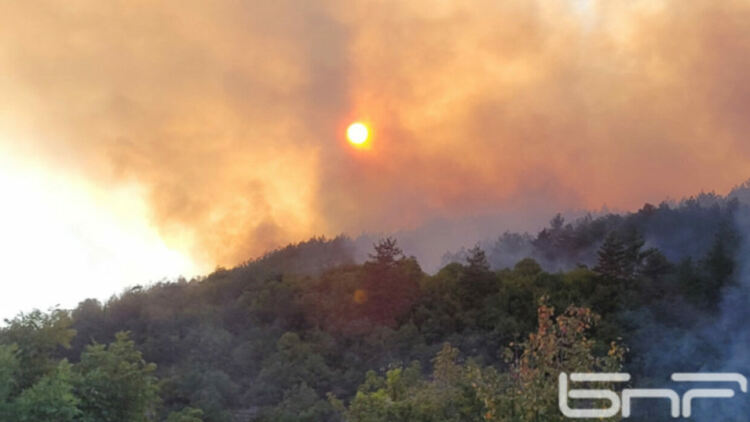 Овладяха пожара край язовир "Кърджали"
