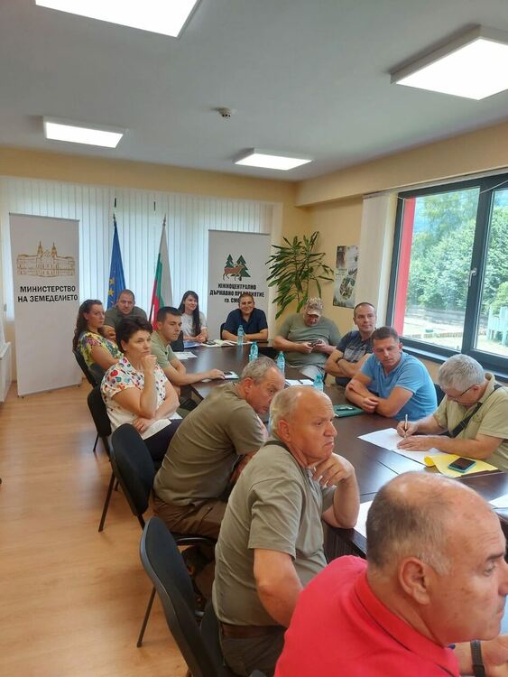 Започна преброяване на кафявите мечки чрез ДНК анализи в Южноцентралното държавно предприятие