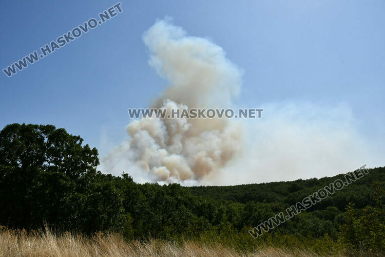 Голям пожар южно от Въгларово, огънят настъпва към селото, вятърът е почти 40 км в час