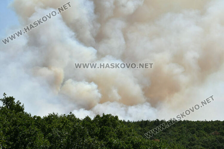 Голям пожар южно от Въгларово, огънят настъпва към селото, вятърът е почти 40 км в час